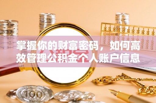 嘉模堂区掌握你的财富密码，如何高效管理公积金个人账户信息