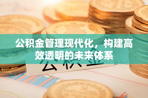 嘉模堂区公积金管理现代化，构建高效透明的未来体系