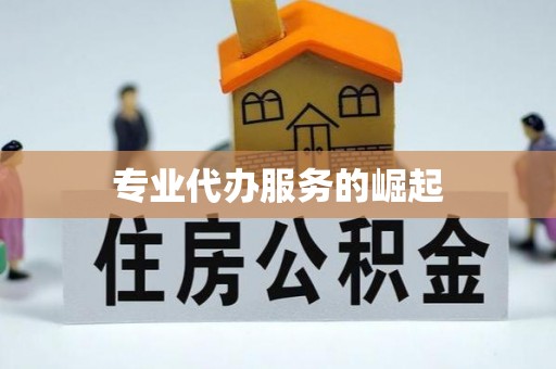 嘉模堂区专业代办服务的崛起