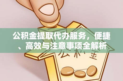 嘉模堂区公积金提取代办服务，便捷、高效与注意事项全解析