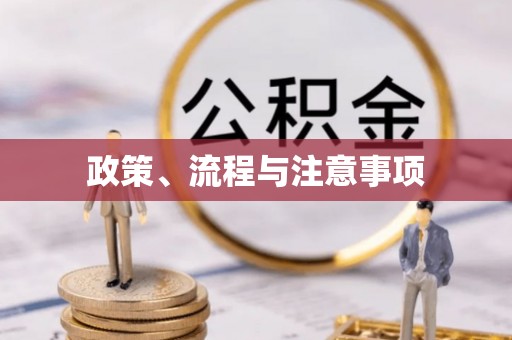 嘉模堂区政策、流程与注意事项