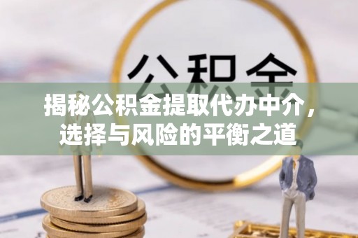 嘉模堂区揭秘公积金提取代办中介，选择与风险的平衡之道