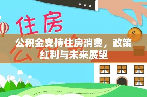 嘉模堂区公积金支持住房消费，政策红利与未来展望