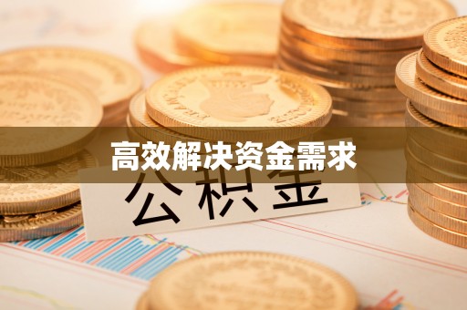 嘉模堂区高效解决资金需求