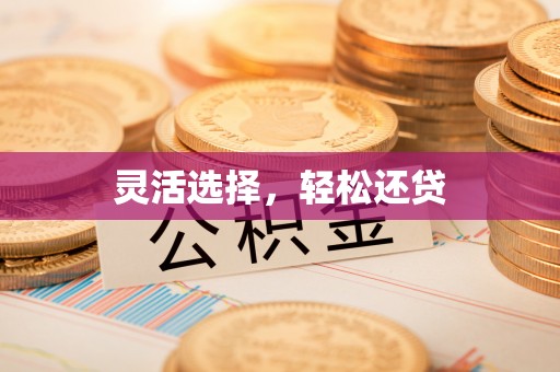嘉模堂区灵活选择，轻松还贷