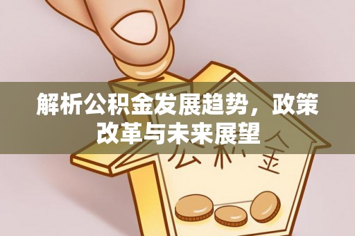 嘉模堂区解析公积金发展趋势，政策改革与未来展望