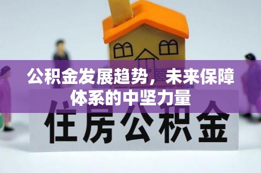 嘉模堂区公积金发展趋势，未来保障体系的中坚力量