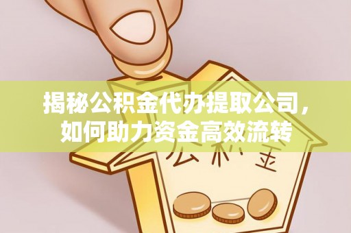 嘉模堂区揭秘公积金代办提取公司，如何助力资金高效流转
