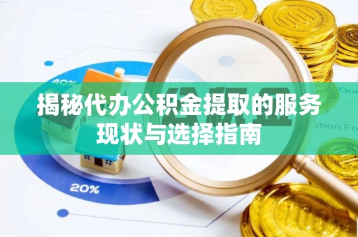 嘉模堂区揭秘代办公积金提取的服务现状与选择指南