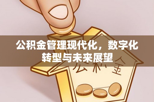 嘉模堂区公积金管理现代化，数字化转型与未来展望