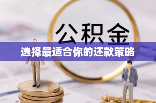 嘉模堂区选择最适合你的还款策略